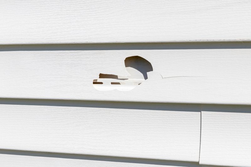 Vinyl Siding Repair Work